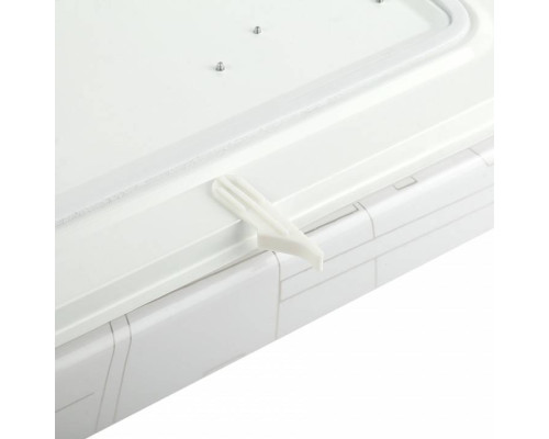 Накладной светильник Эра Классик SPB-6-24 Nancy S