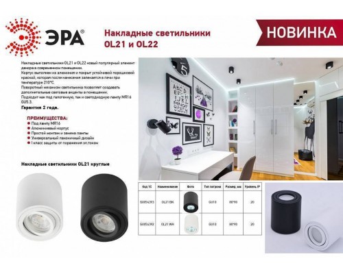 Накладной светильник Эра OL22 WH Б0054394