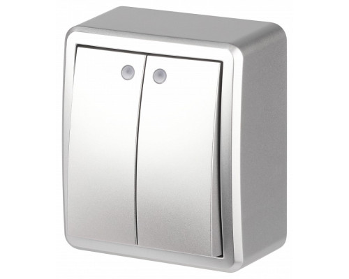 Выключатель двухклавишный с подсветкой Эра Эра Эксперт 11-1205-03