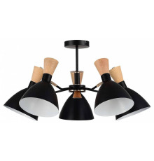 Люстра на штанге EVOLUCE VISTA SLE1256-402-05