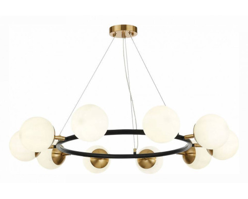 Подвесная люстра EVOLUCE Forli 10xE14 SLE220403-10