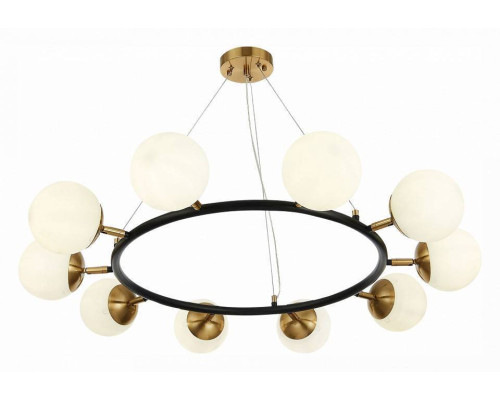 Подвесная люстра EVOLUCE Forli 10xE14 SLE220403-10