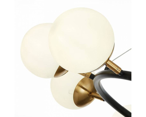 Подвесная люстра EVOLUCE Forli 10xE14 SLE220403-10