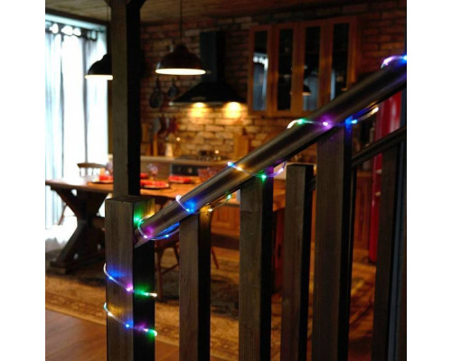 Шнур световой Feron CL587 51462