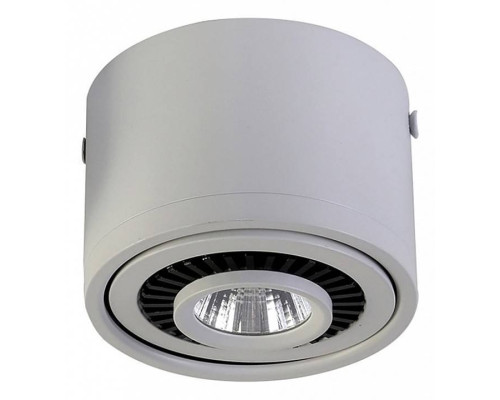 Накладной светильник Favourite Reflector 1775-1C