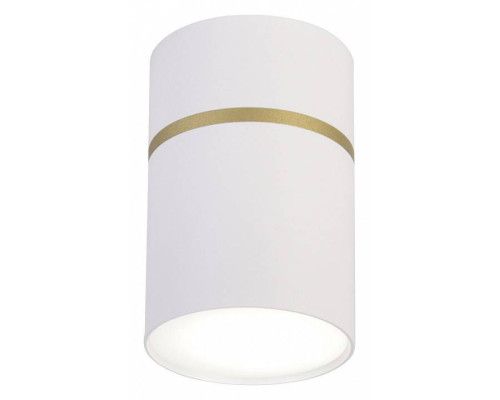 Накладной светильник Favourite Dunia 3067-1C