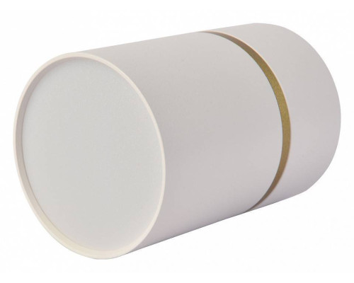 Накладной светильник Favourite Dunia 3067-1C