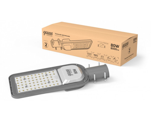 Консольный светильник Gauss  629534480