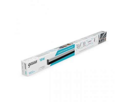 Накладной светильник Gauss  883625280