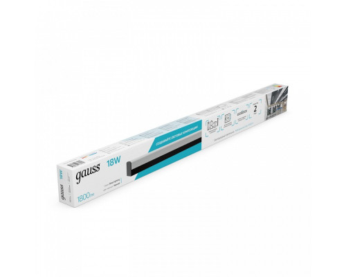 Накладной светильник Gauss  883625280