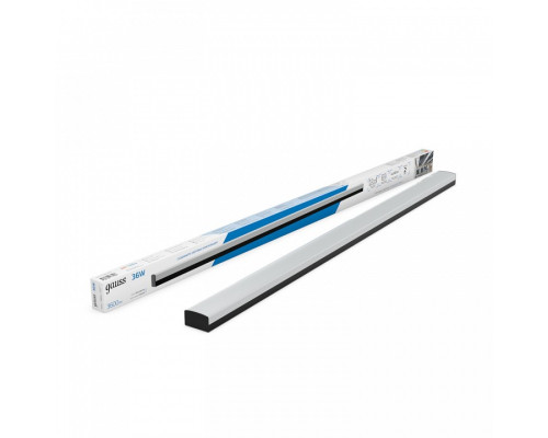 Накладной светильник Gauss  883625336