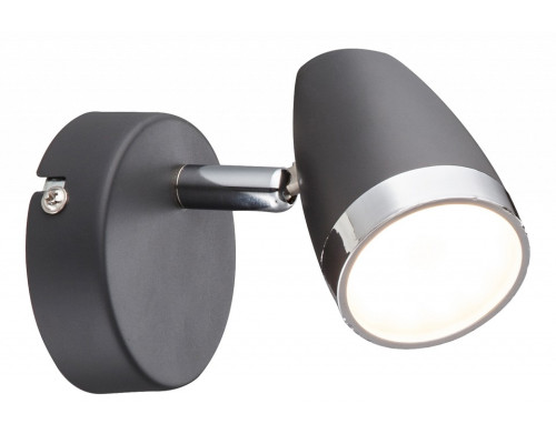 Спот Globo Nero 56110-1