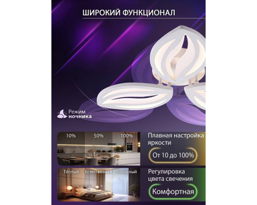 Потолочная люстра Natali Kovaltseva SM LED LAMPS 81456