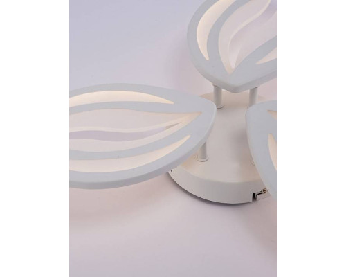 Потолочная люстра Natali Kovaltseva SM LED LAMPS 81456