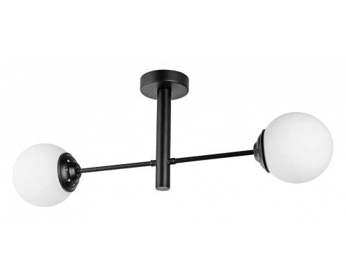 Светильник на штанге Lampit FINO TP 2007-2 BK