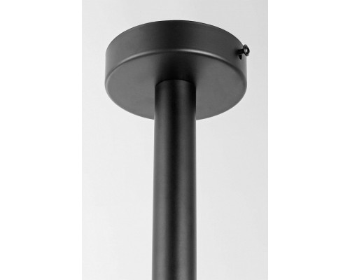 Светильник на штанге Lampit FINO TP 2007-2 BK