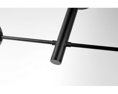 Светильник на штанге Lampit FINO TP 2007-2 BK