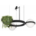 Подвесной светильник Loft it Jardin 10121/2