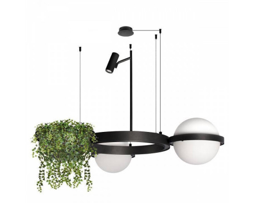 Подвесной светильник Loft it Jardin 10121/2