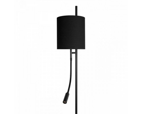 Торшер с подсветкой Loft it Ritz 10253F/B Black