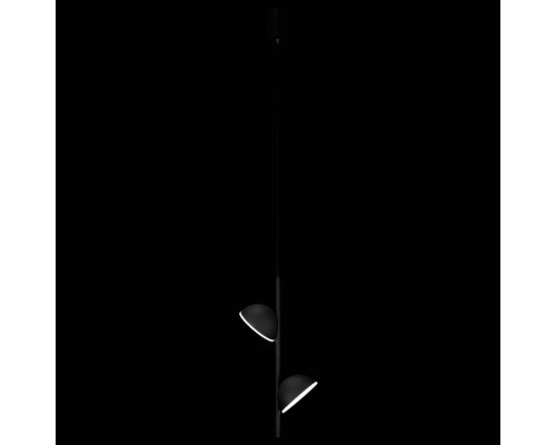 Подвесной светильник Loft it Mons 10335 Black