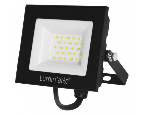 Настенно-потолочный прожектор Luminarte LFL-30W LFL-30W/06