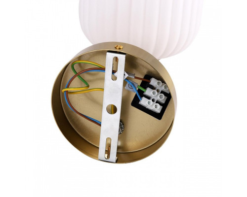 Бра Lumion ALEGRA 8334/1W