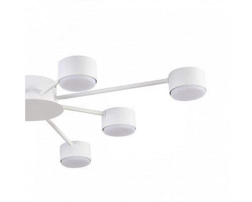 Потолочная люстра Lumion TORINA 8343/8C