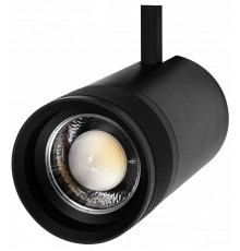 Светильник на штанге Lightstar Canno Pro 304407