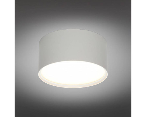 Накладной светильник Omnilux Abano OML-103309-12