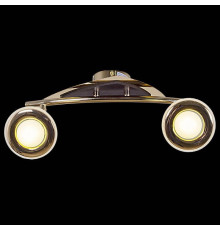 Спот Reluce 00640-1 00640-0.3-02DA FGD+WD