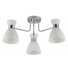 Потолочная люстра 07303-0.3-03