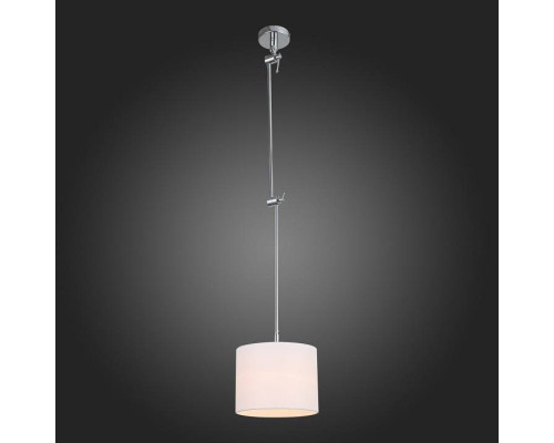 Светильник на штанге ST-Luce Marcia SL460.102.01