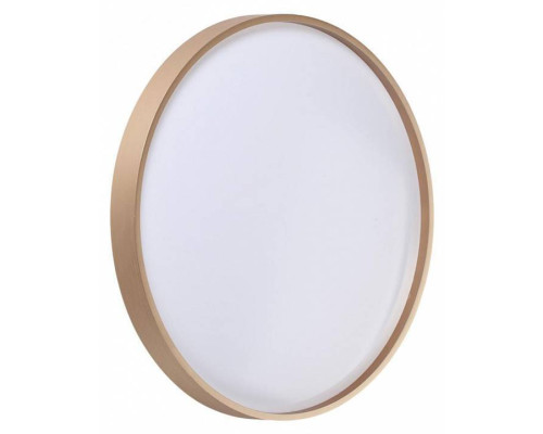 Накладной светильник Sonex Gaby 7783/DL