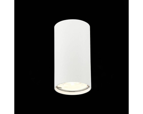 Накладной светильник ST-Luce Simplus ST110.507.01