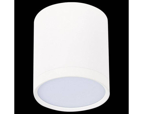 Накладной светильник ST-Luce Rene ST113.532.05