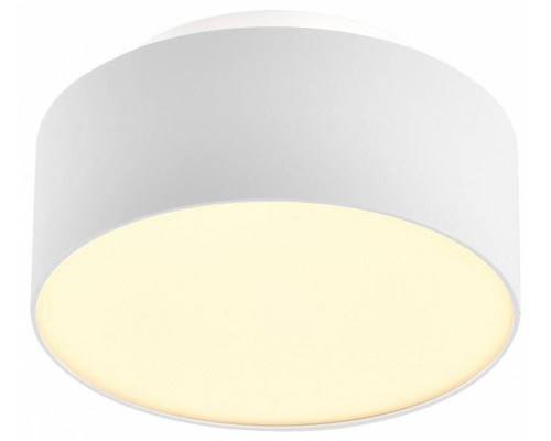 Накладной светильник ST-Luce ST166 ST166.542.17