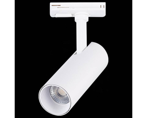 Светильник на штанге ST-Luce Mono ST350.536.10.36