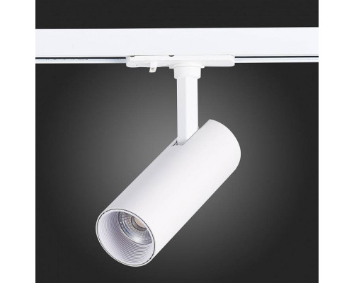 Светильник на штанге ST-Luce Mono ST350.536.10.36