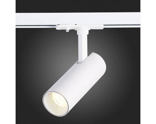 Светильник на штанге ST-Luce Mono ST350.536.10.36