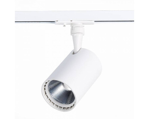 Светильник на штанге ST-Luce Cami ST351.536.20.24