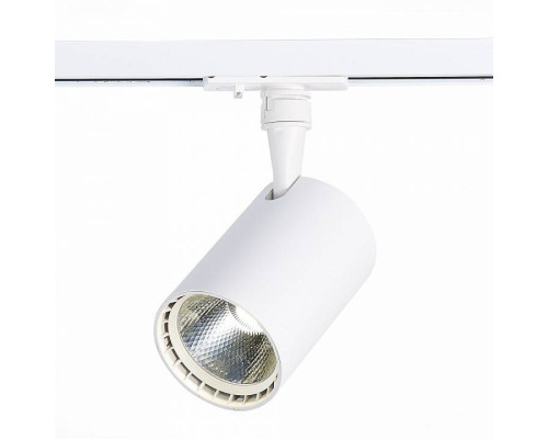 Светильник на штанге ST-Luce Cami ST351.536.20.24