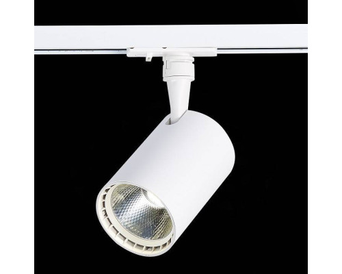 Светильник на штанге ST-Luce Cami ST351.536.20.24