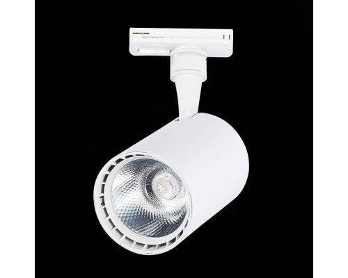 Светильник на штанге ST-Luce Cami ST351.536.20.24