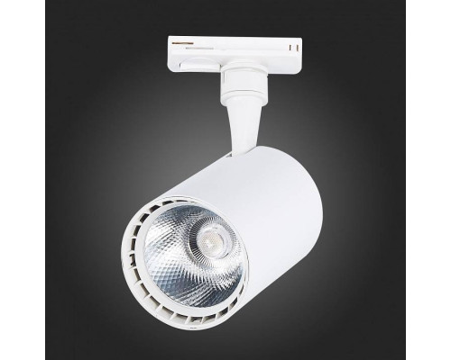 Светильник на штанге ST-Luce Cami ST351.536.20.24