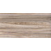 TWU09DBL404 плитка облицовочная Dublin 249*500*7,5 (12 шт в уп/80,676 м в пал)