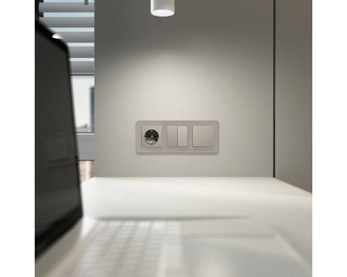 Выключатель проходной одноклавишный без рамки Werkel дымчатый W1212004