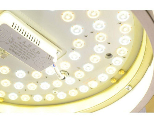 Светильник накладной Zortes Gerda ZRS.1097.50