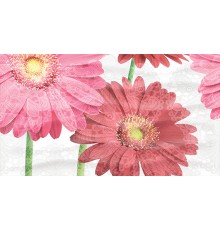 Dec Gerbera Panno A КПН16GerberaA 25х45