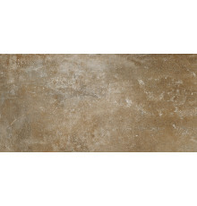 Ferry Плитка настенная коричневый 18-01-15-3630 30х60